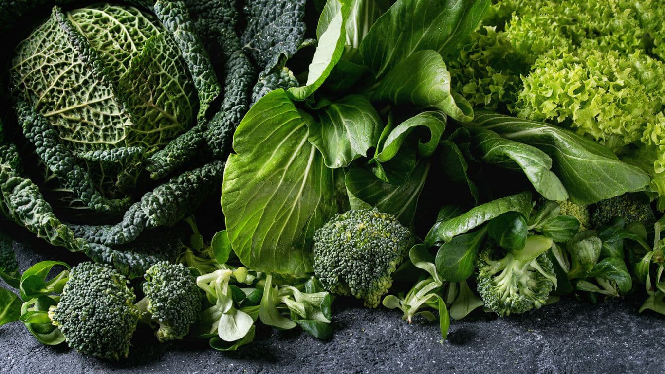 Assorted fresh green leafy vegetables closeup