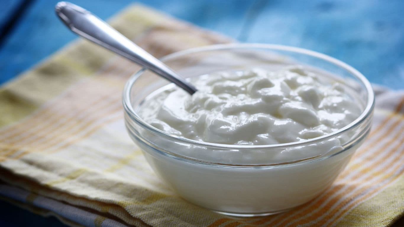 Glass bowl of plain yogurt with spoon