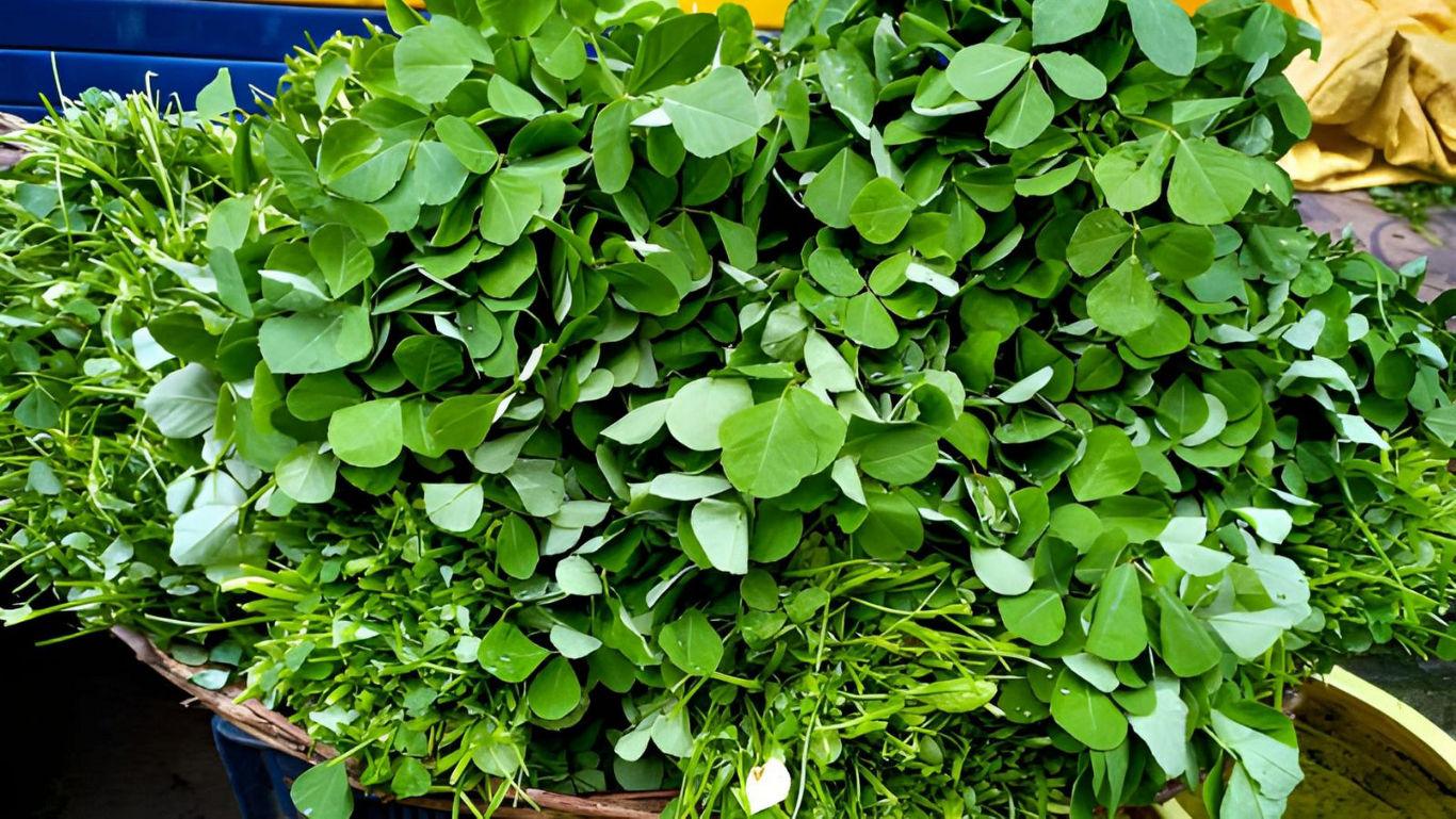Fresh green leafy vegetables in a basket