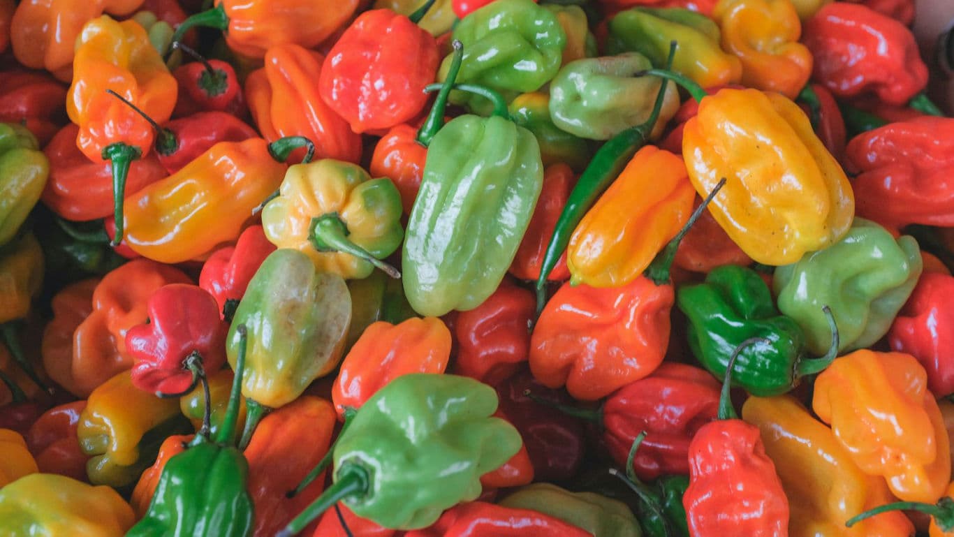 Mexican chilli peppers.