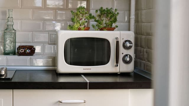 Microwave