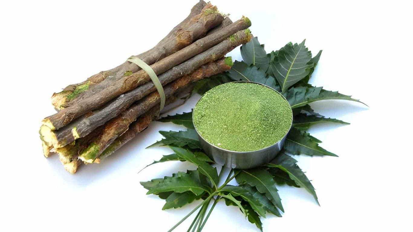 Neem stem, leaves and powder.