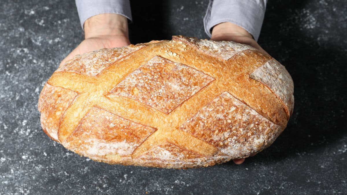 person holding bread