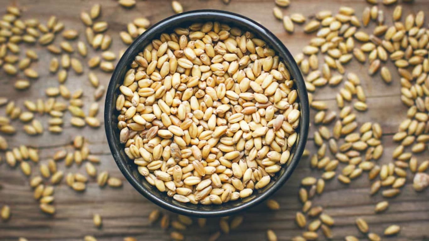 Bowl of Wheat Grains on Wooden Surface