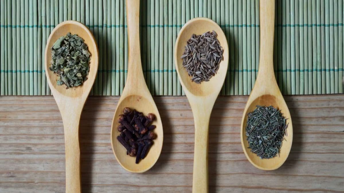 spices on spoons