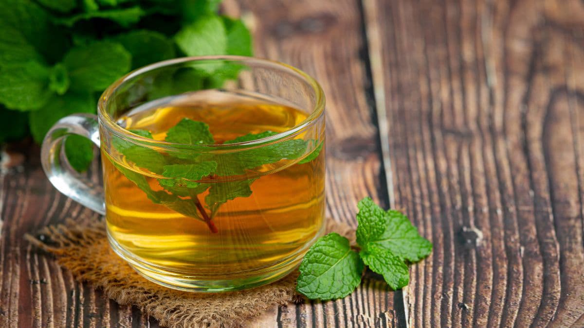 Fresh peppermint tea served in a glass cup with mint leaves