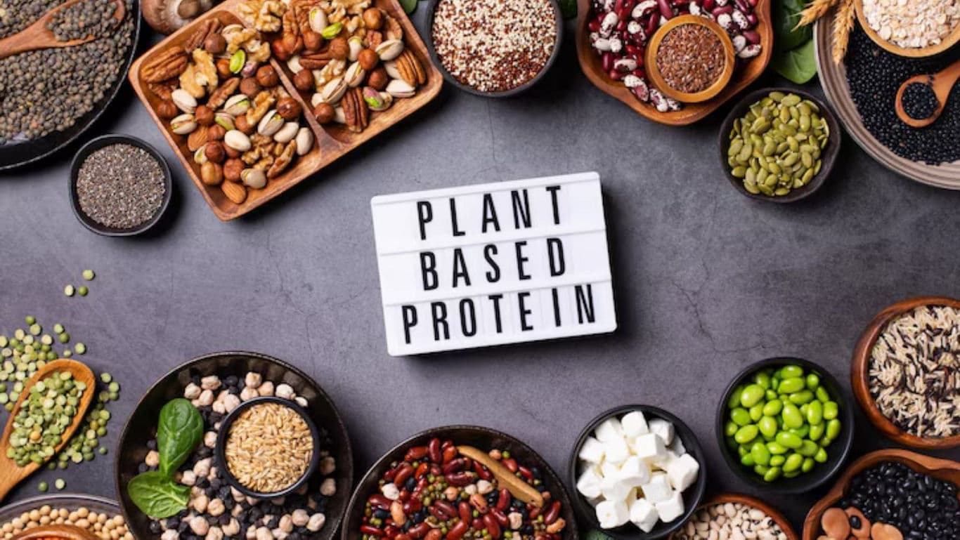 Assorted Plant-Based Protein Foods on Tabletop