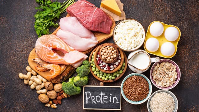 animal-vs-plant-protein-how-consuming-either-benefits-health-and-the-environment-thumbnail