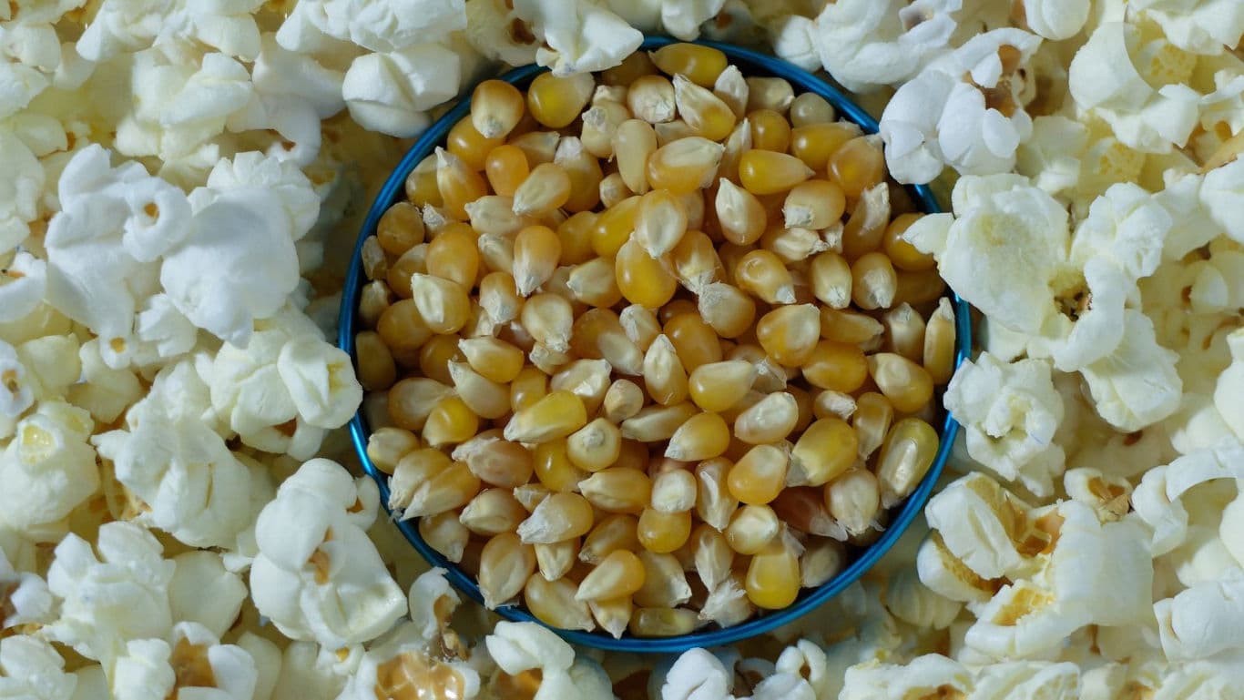 Popcorn kernels in bowl surrounded by popcorn