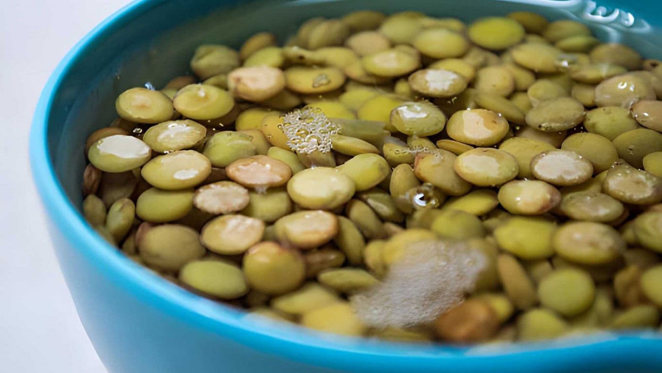 Green lentils soaking in blue ceramic bowl