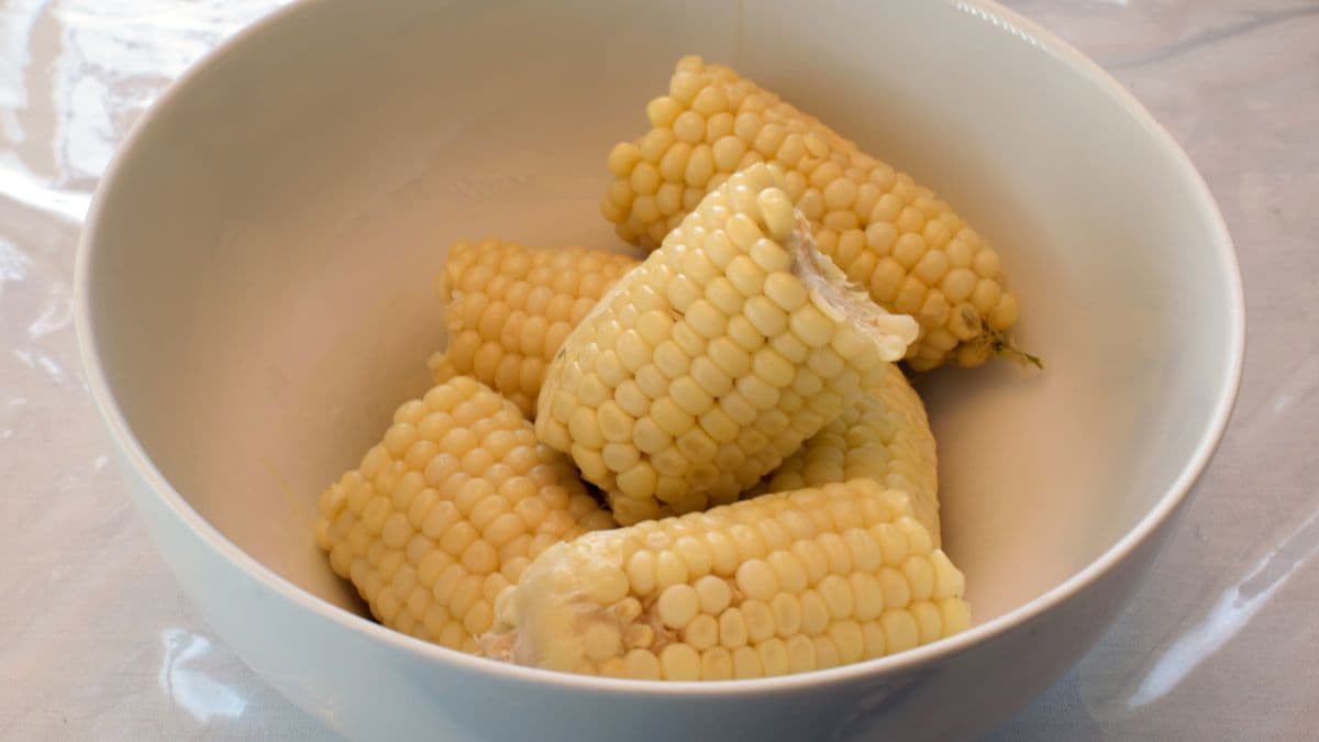 Corn cobs in a bowl