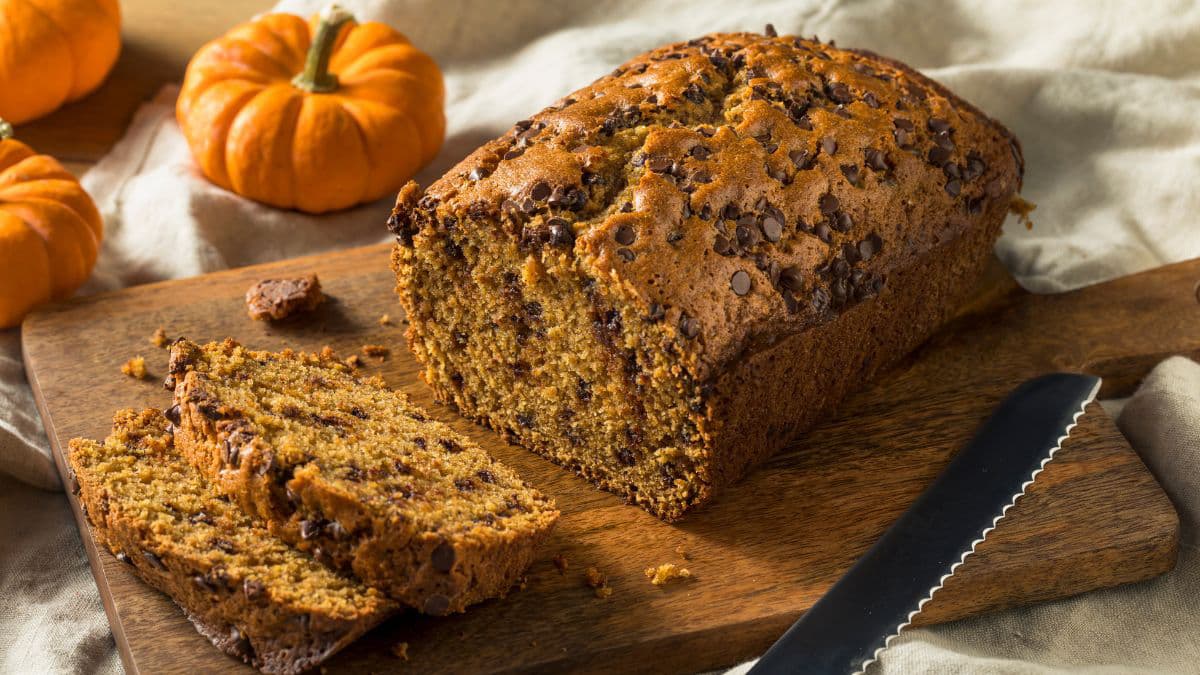 Pumpkin chocolate loaf with chocolate chips