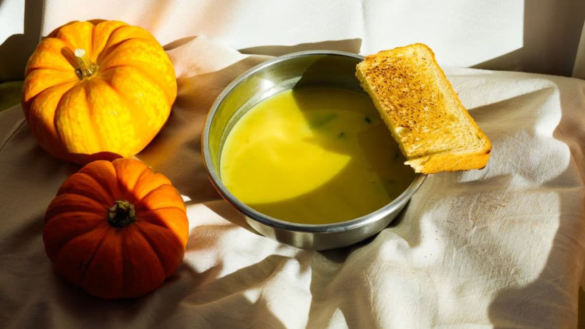 Bowl of pumpkin soup with grilled bread