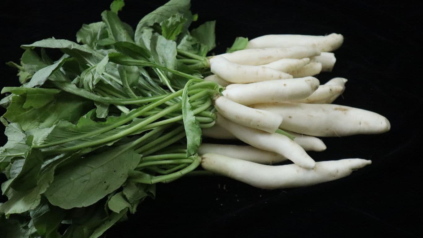 Fresh white radishes with leafy green tops