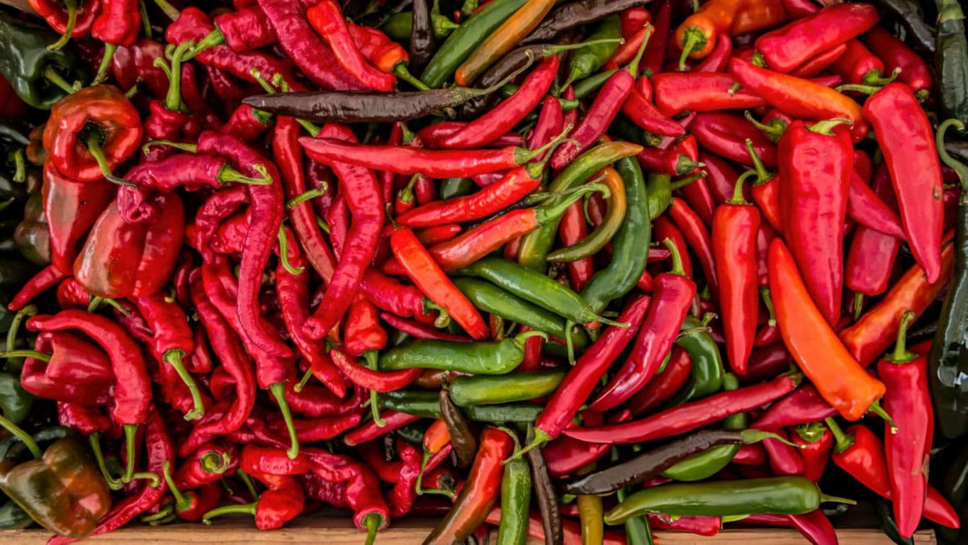 Red Hot Chilli Peppers in a crate