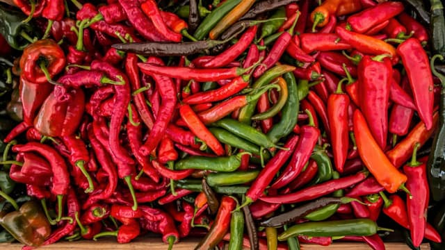 the-journey-of-chilli-peppers-to-india-and-the-fiery-curries-they-created-thumbnail