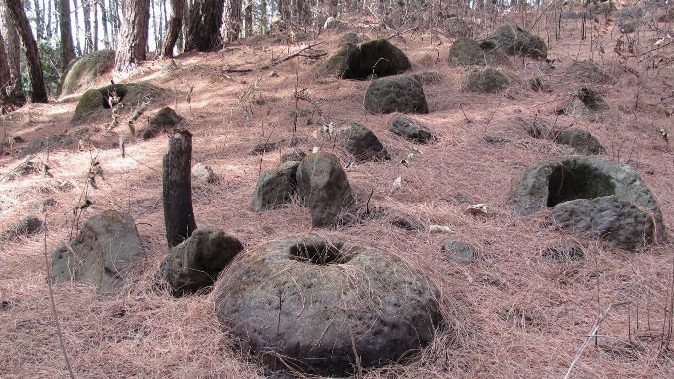 Ancient stone mortars scattered in forest clearing