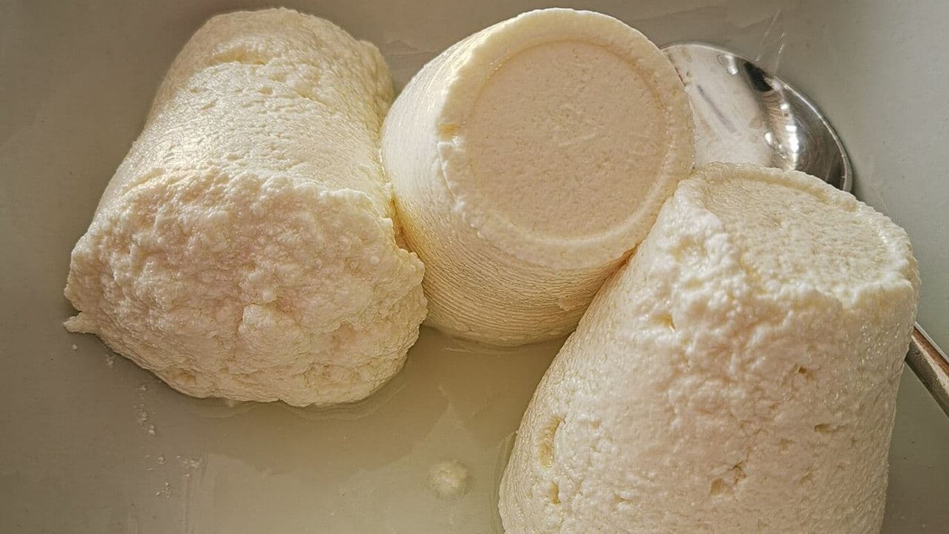Fresh ricotta cheese portions on plate