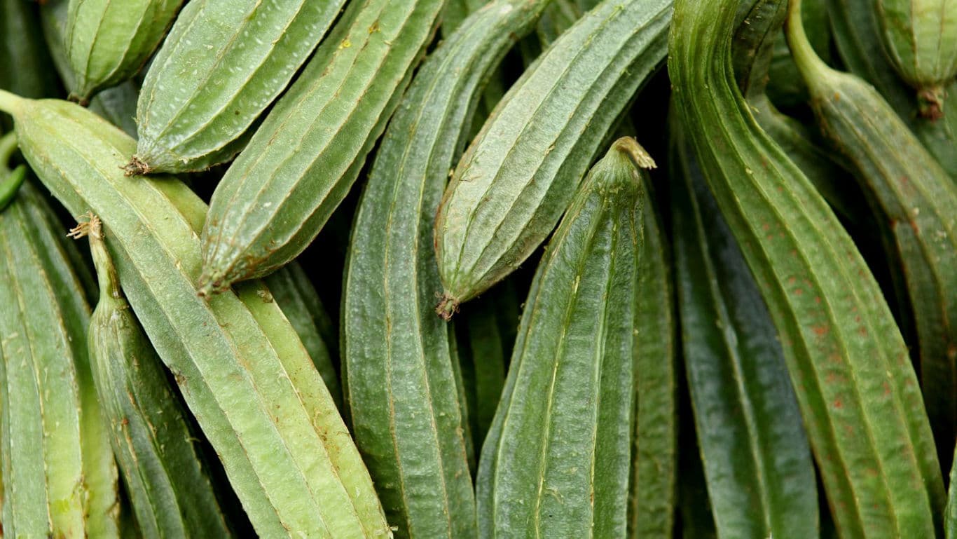 Balance Moisture