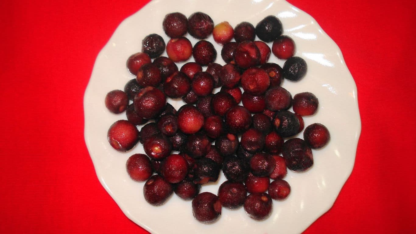 Ripe falsa berries on a plate.