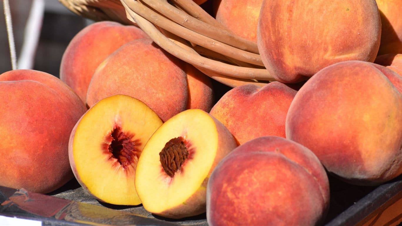 Ripe peaches monsoon fruits.