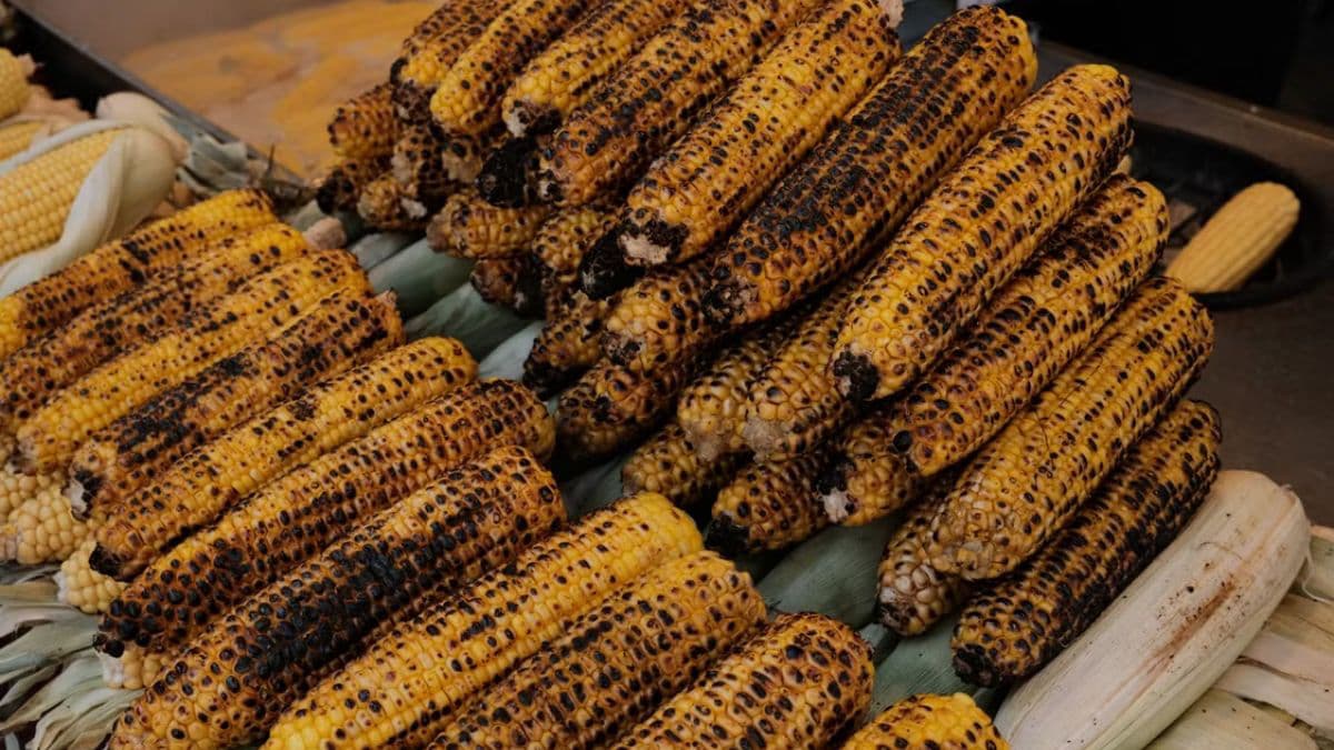pile of roasted corn on the cob
