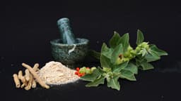 blogs-thumbnail
