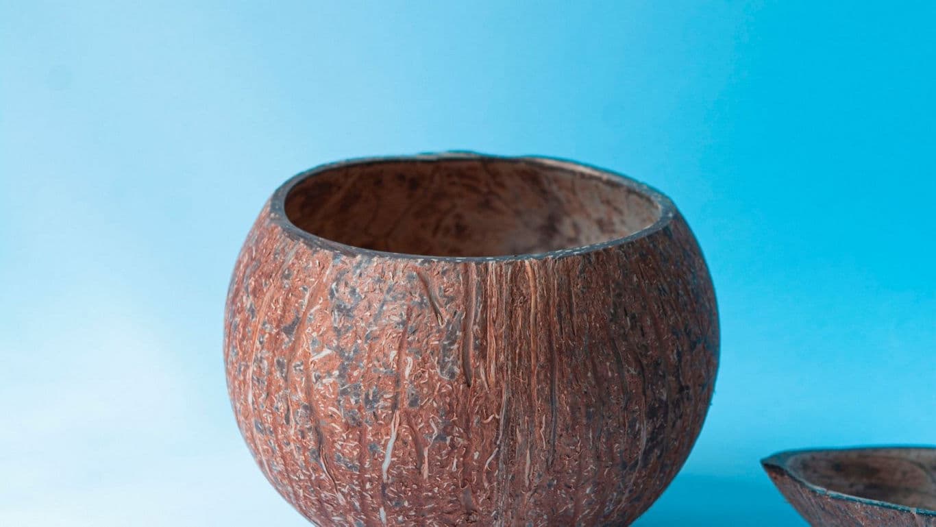 Open coconut shell bowl on blue background