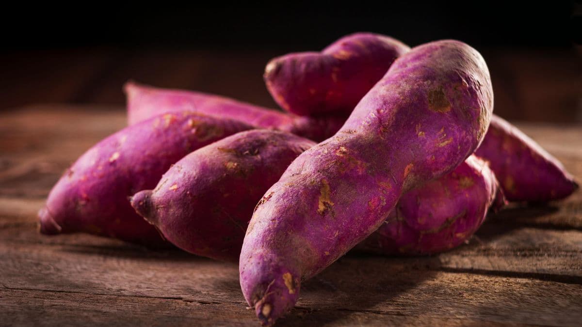 6-sawan-vrat-recipes-for-sweet-potato-vrat-snacks-thumbnail