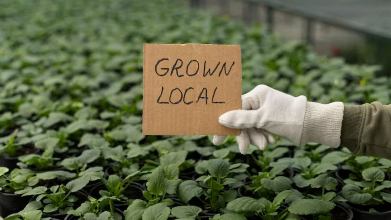 Hand holding sign in greenhouse with young plants