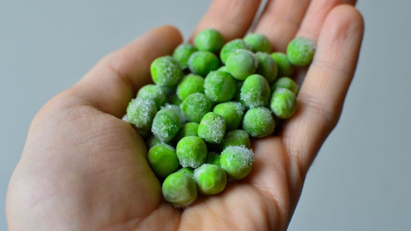 Frozen green peas held in human hand