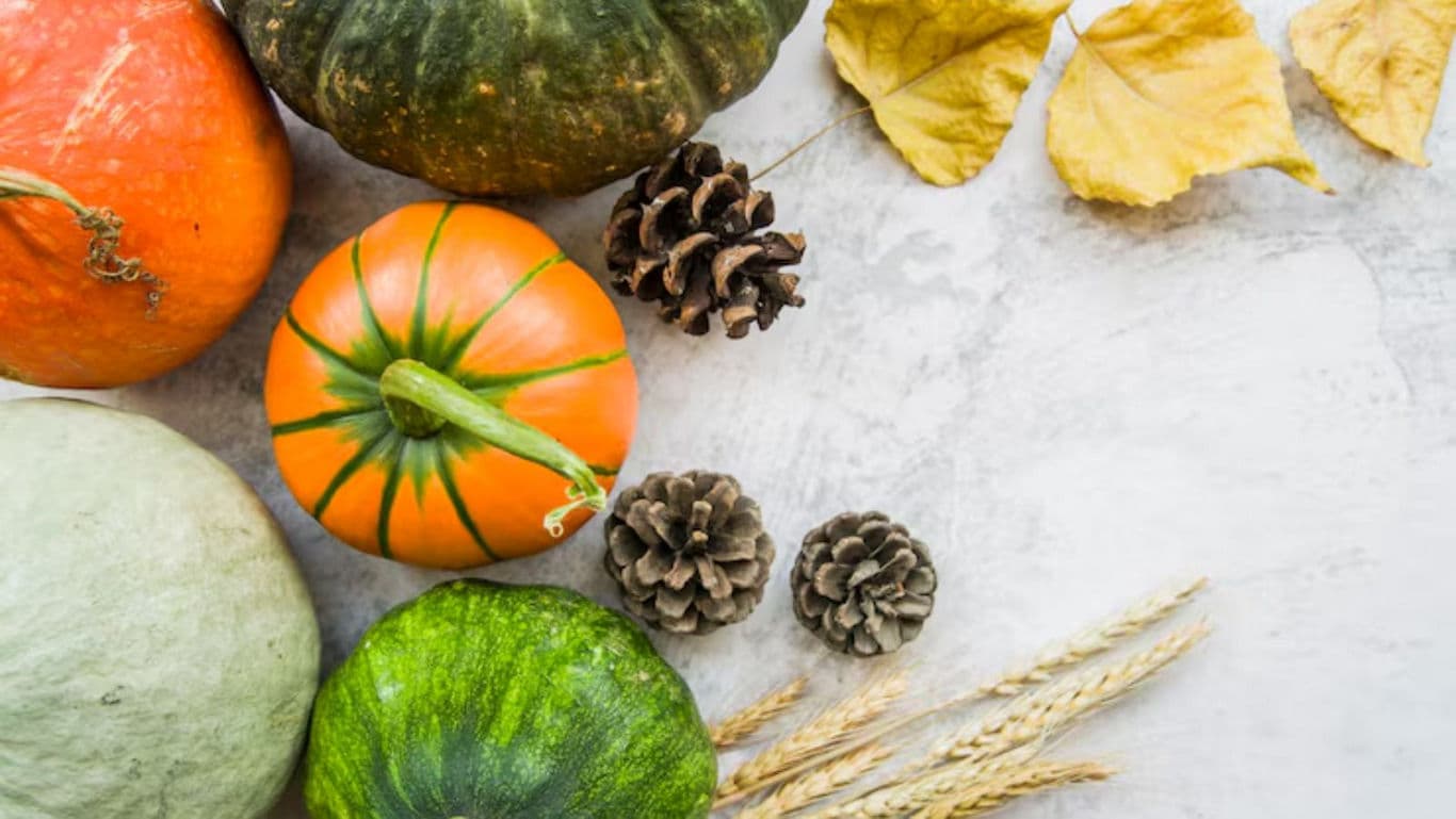 Assorted Autumn Gourds with Pinecones and Leaves