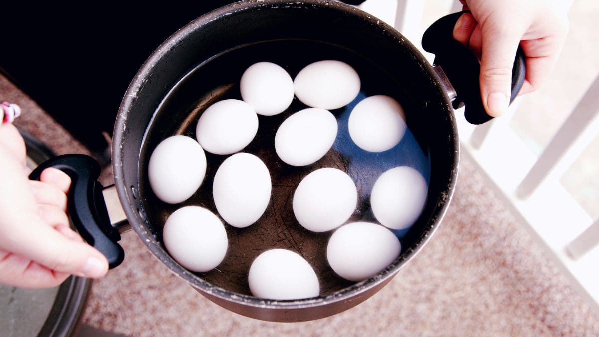 Eggs in a container