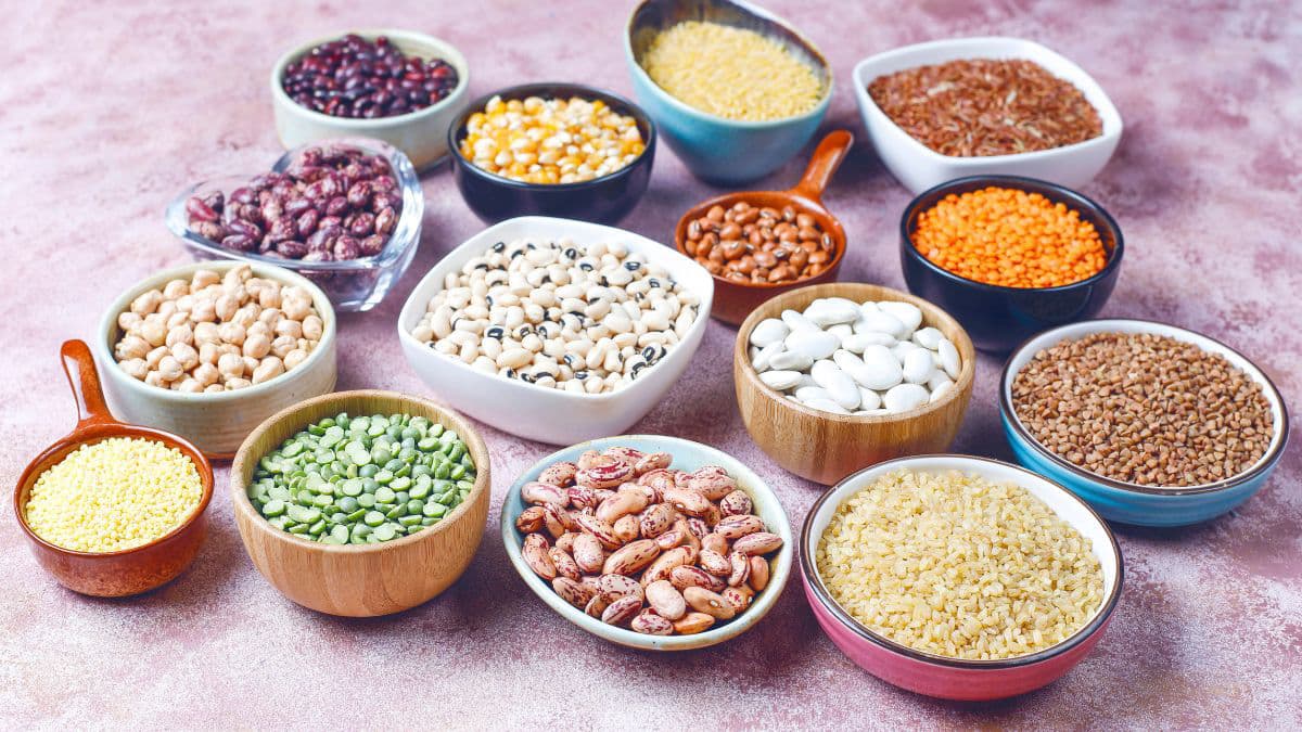 Collection of plant-based protein foods