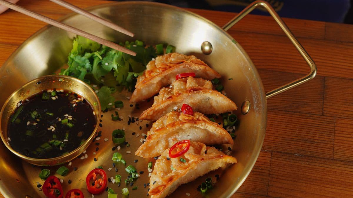 Pan-fried momos on a plate.