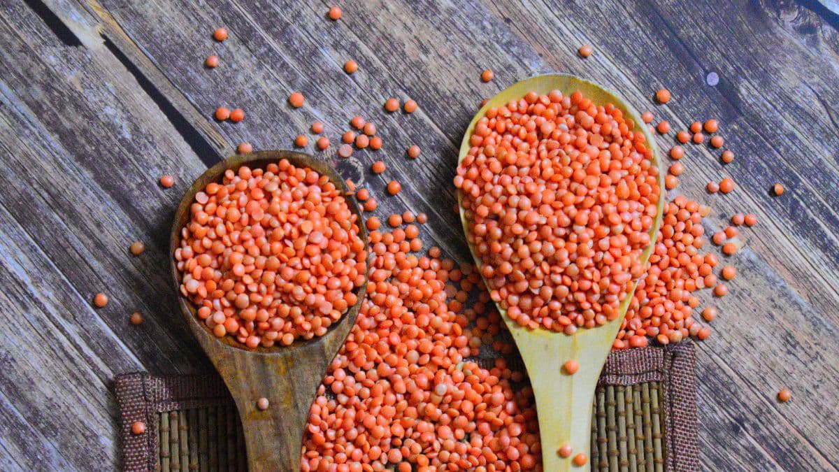 Red lentils packed with protein