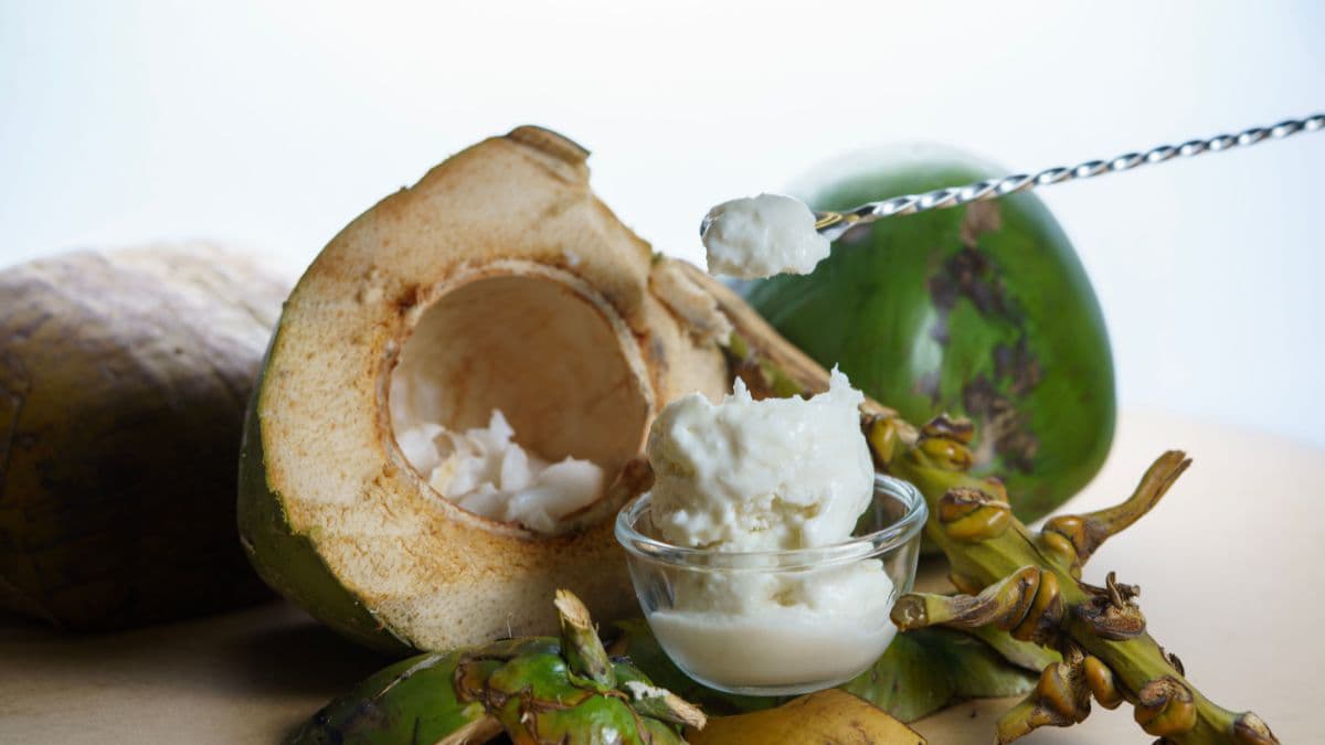 Tender coconut malai in a bowl 