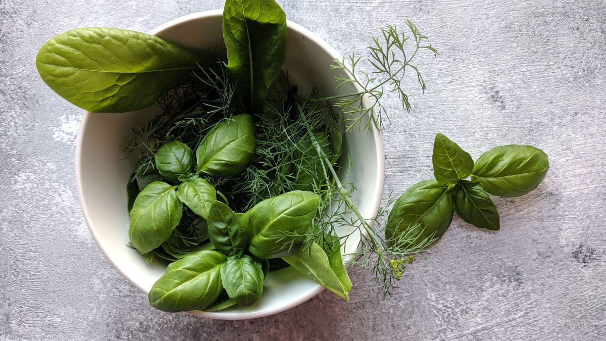 Green herbs in a bowl