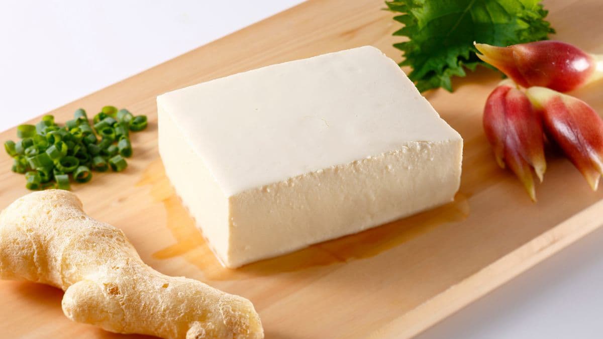 A piece of tofu on a plate