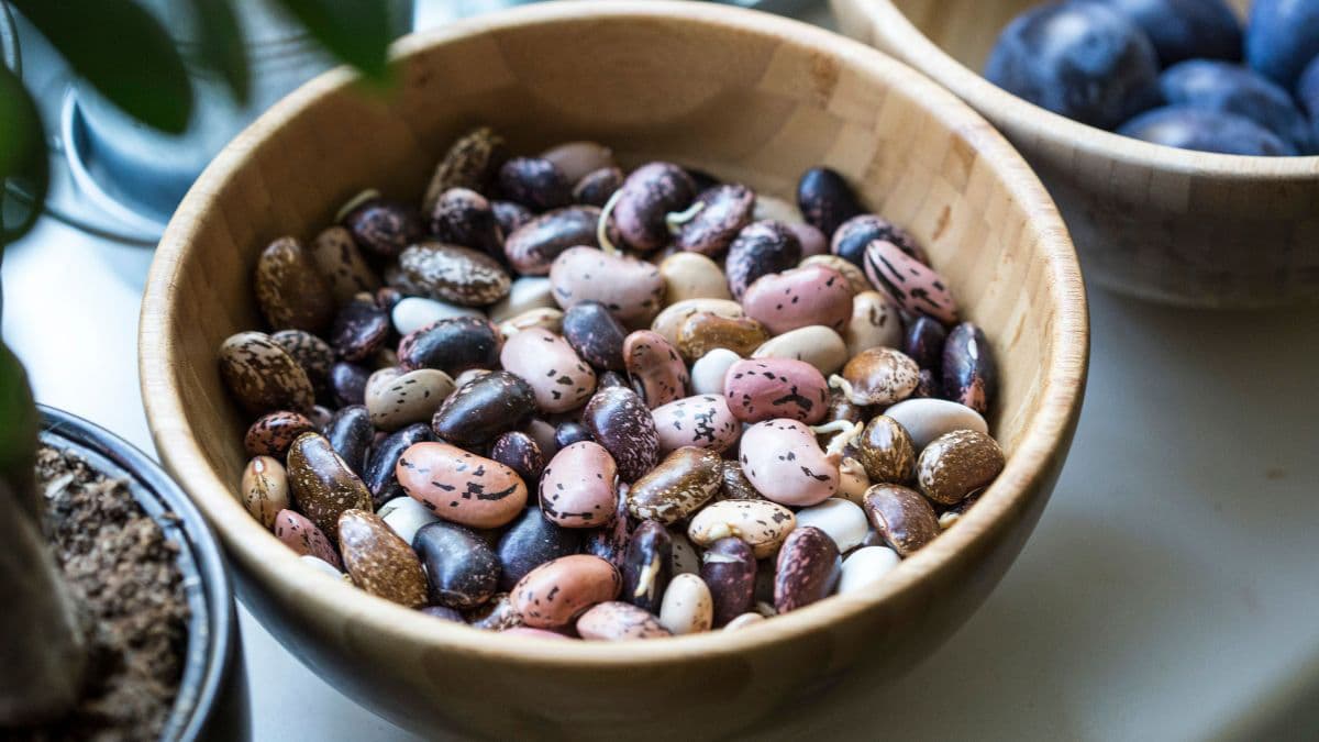 Mixed beans in a wooden bowl 