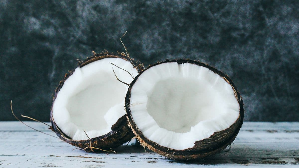 Freshly grated coconut for coconut recipes 