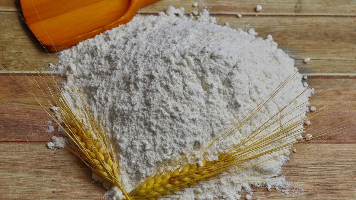 Flour on a countertop
