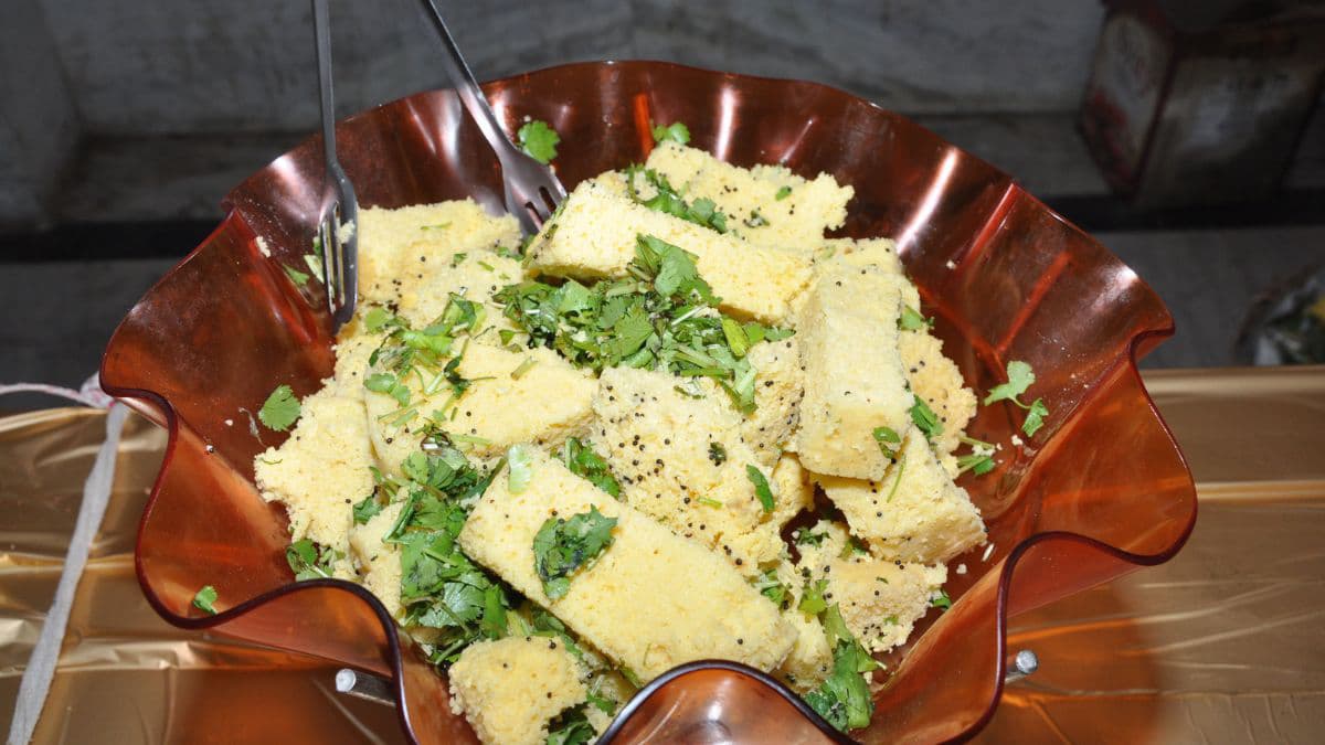 khaman dhokla with chutney