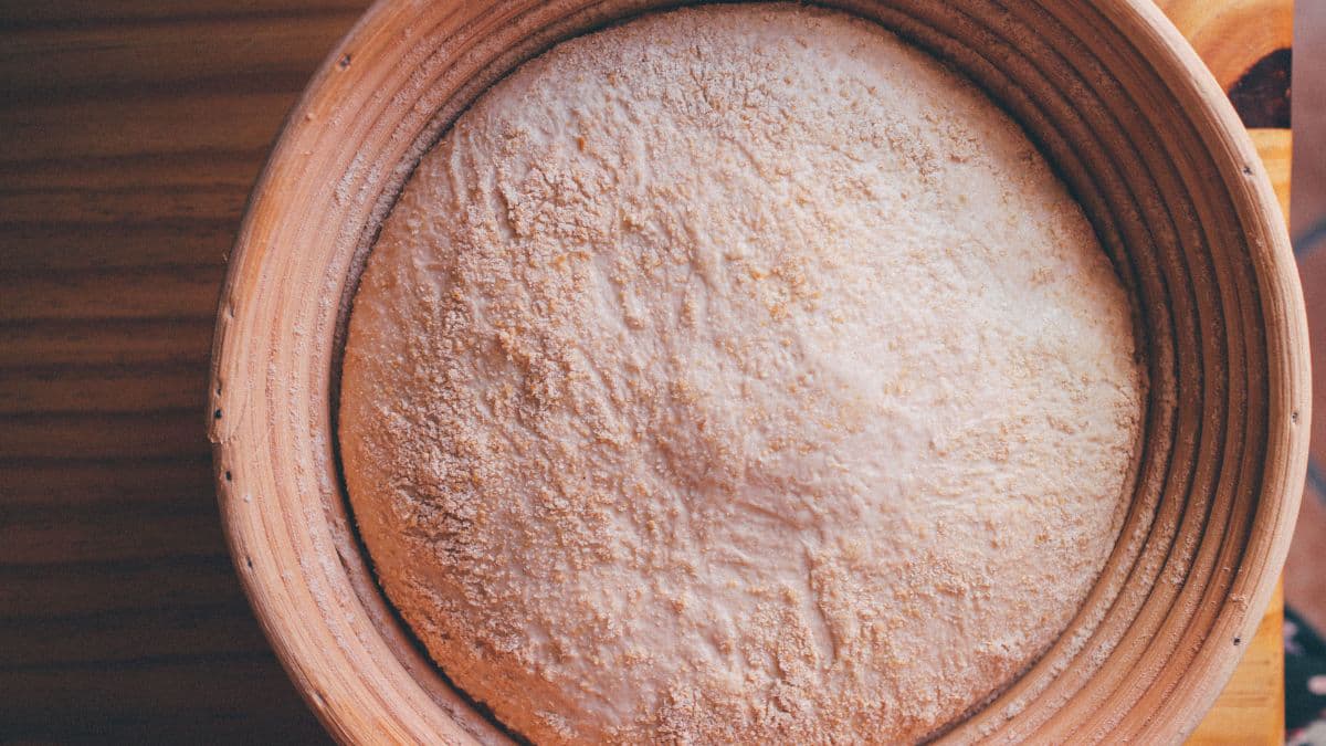 Proofed Khapli atta dough ready for shaping
