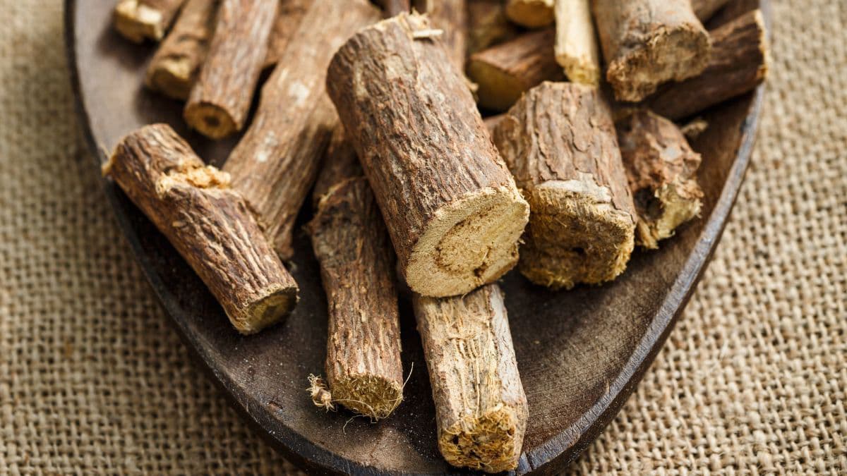 Mulethi root closeup.