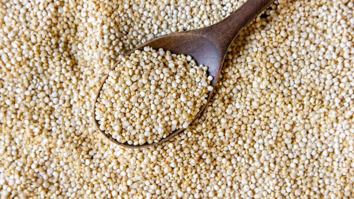 Spoon of Quinoa