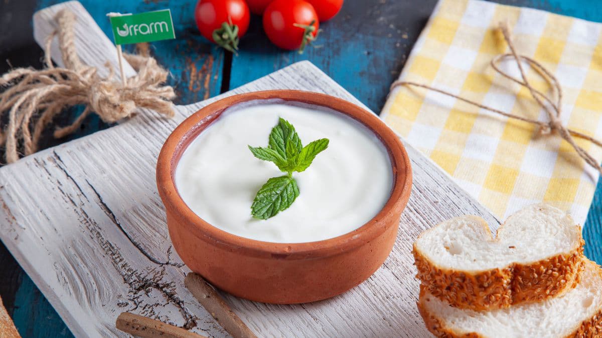 Yoghurt in a clay bowl