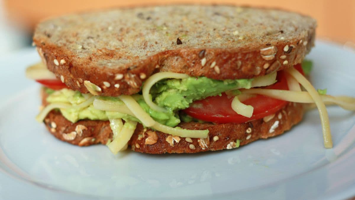Fresh avocado sandwich