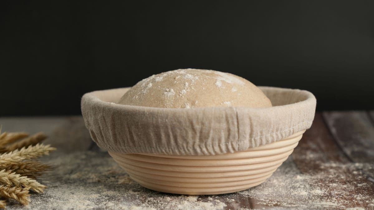 Smooth dough ball proofing inside a bowl. 