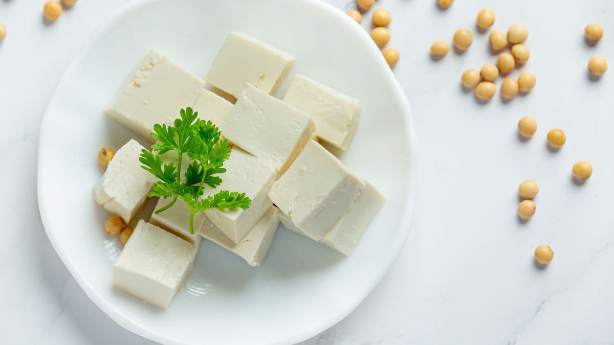 Tofu pieces on a plate